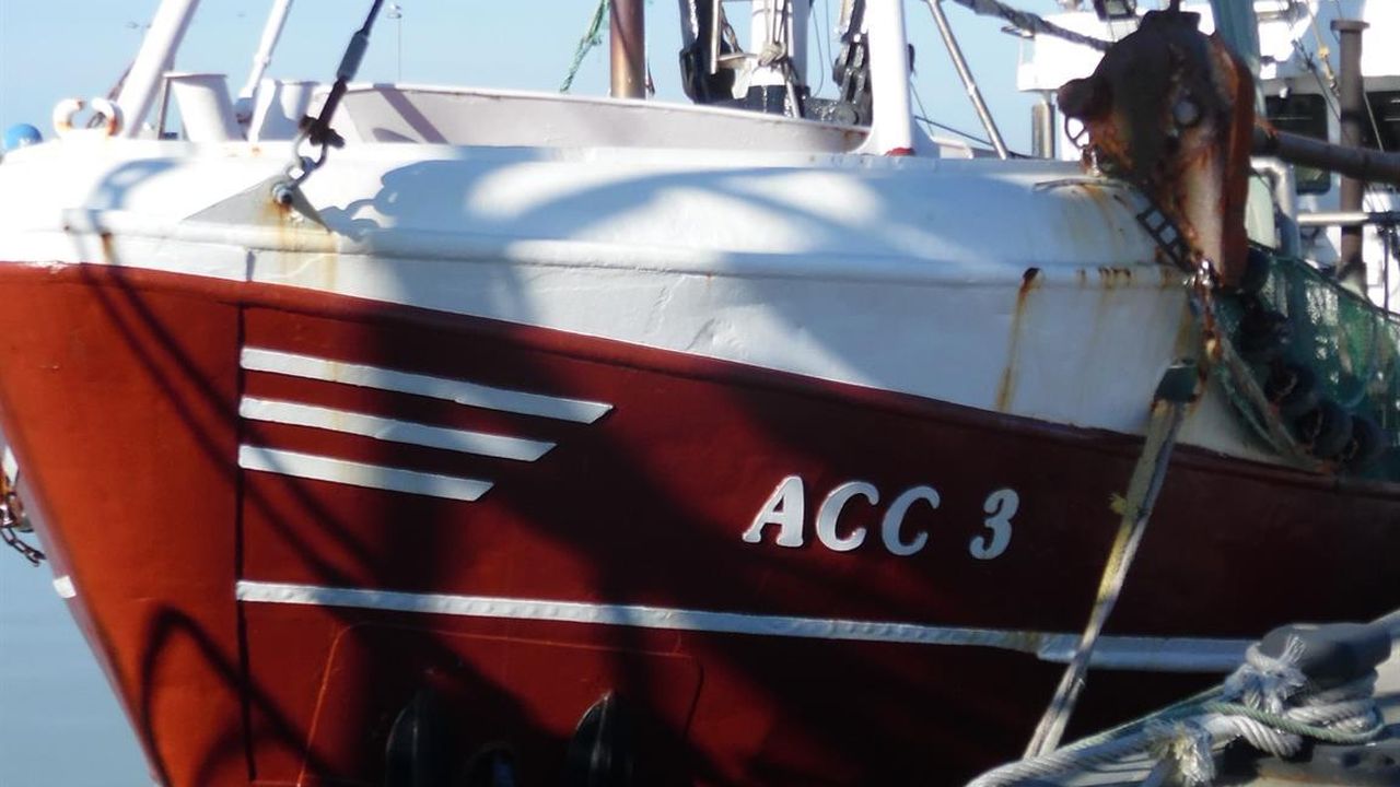 Fischkutter 20 Fischkutter 20